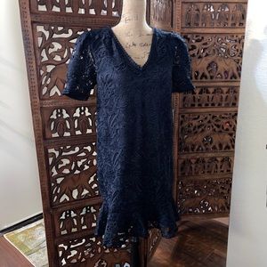 Express Lace Puff Sleeve Fit and Flare Dress
